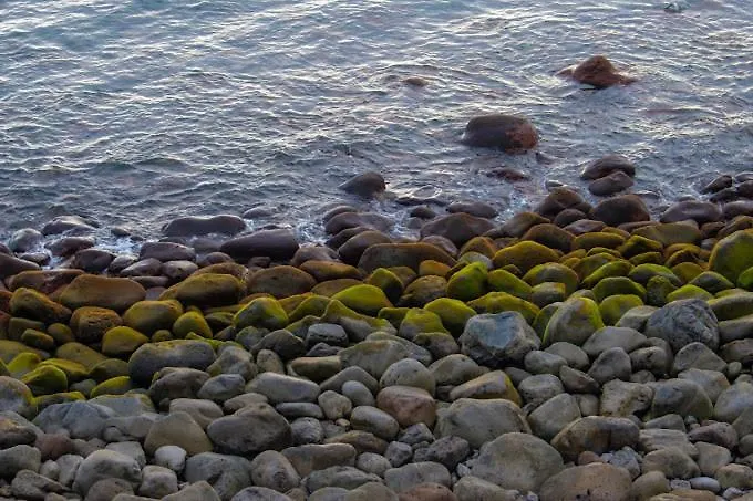 Casa Da Guida Villa Paul do Mar  Holiday home Paul do Mar (Madeira)